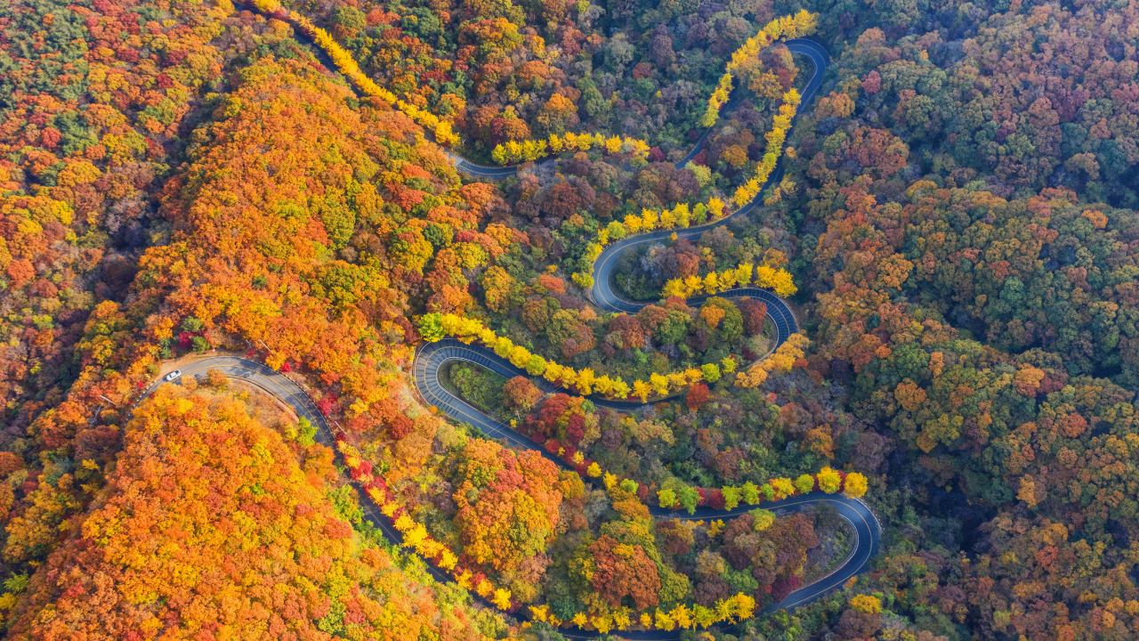 영감과 미식, 재즈로 채우는 가을 여행, 무주 나이트 살롱(10월 17~19일)